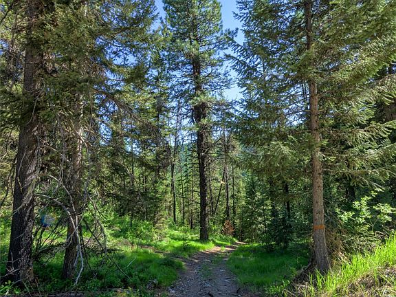 2nd image of Packer Creek Rd