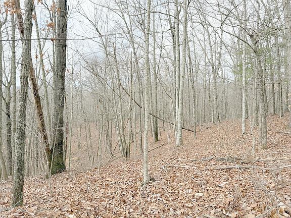 3rd image of 0 Grouse Ridge Rd