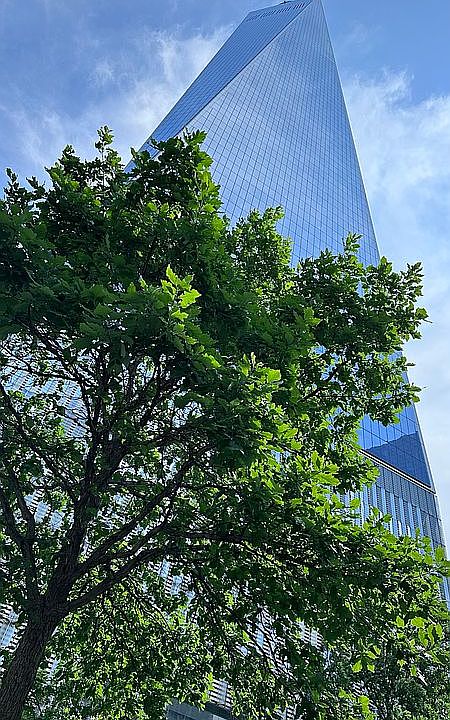 1st image of 376 Broadway APT 7C