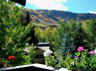 611 S West End St APT 11, Aspen, CO 81611