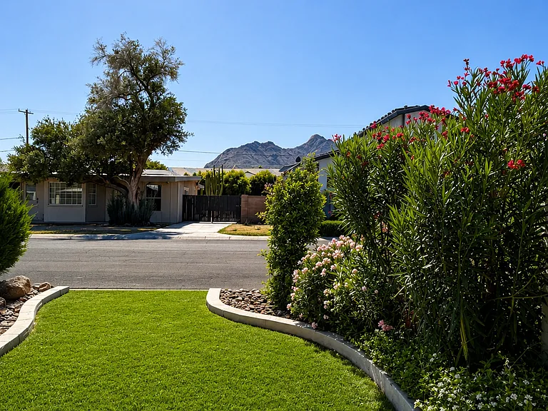 nice front yard and mountain views