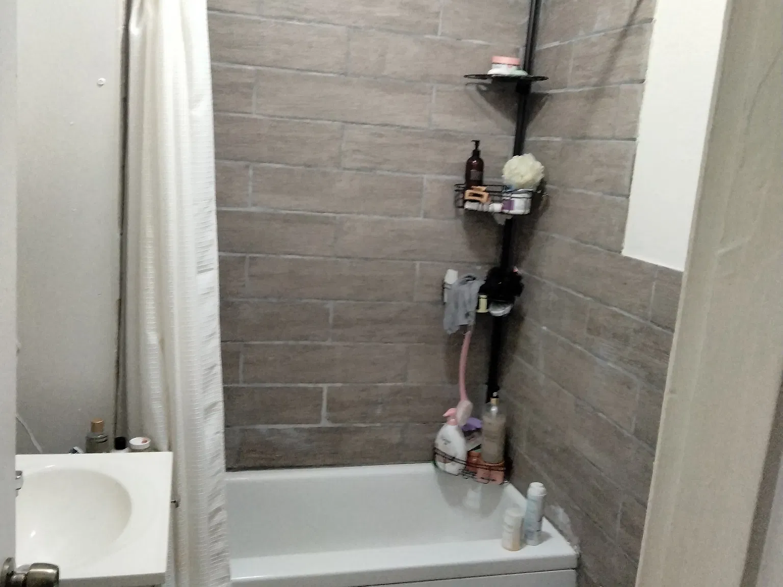 1 bed, 600 sqft, $1,214 — Photo 4