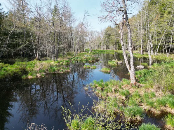 Lot 2 Off Mattamiscontis Road, Howland, ME 04448