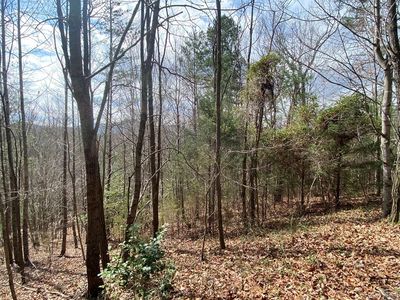 9 Turtle Ridge Trl, Murphy, NC, 28906