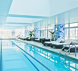 Rented by Bold New York