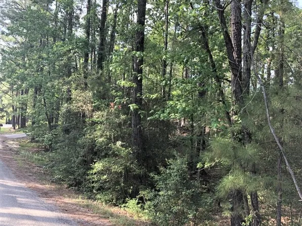 224 Piney Point Dr, Brookeland, TX 75931