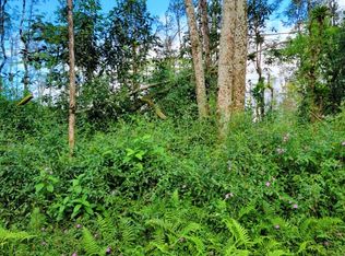Lanai Rd LOT 586, Pahoa, HI 96778