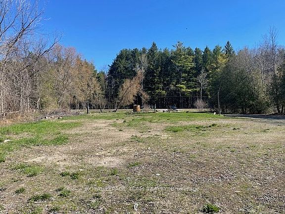5th image of 10549 Loughlin Ridge Rd