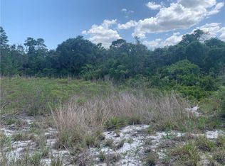 221 Palm Beach St, Lake Placid, FL 33852