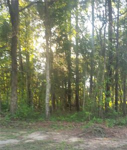 0 Webb Ave, Tuskegee, AL, 36083