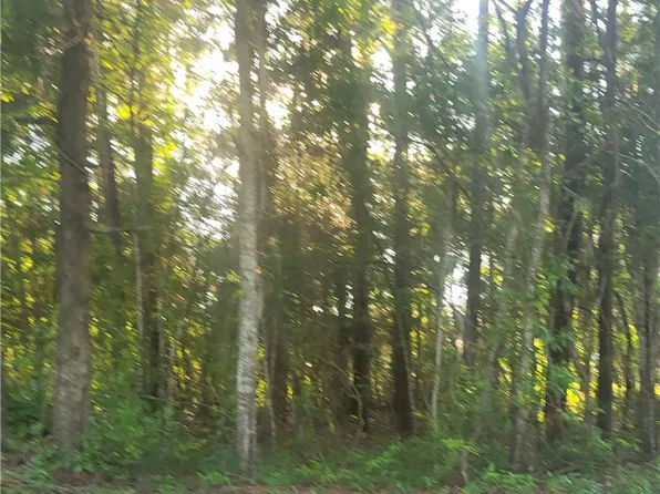 0 Webb Ave, Tuskegee, AL 36083