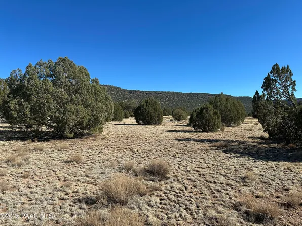 932 W Thirsty Burros Rd, Seligman, AZ 86337