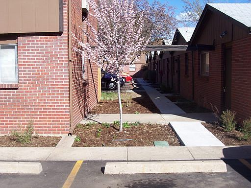 2nd image of 6150 W 39th Ave APT 8