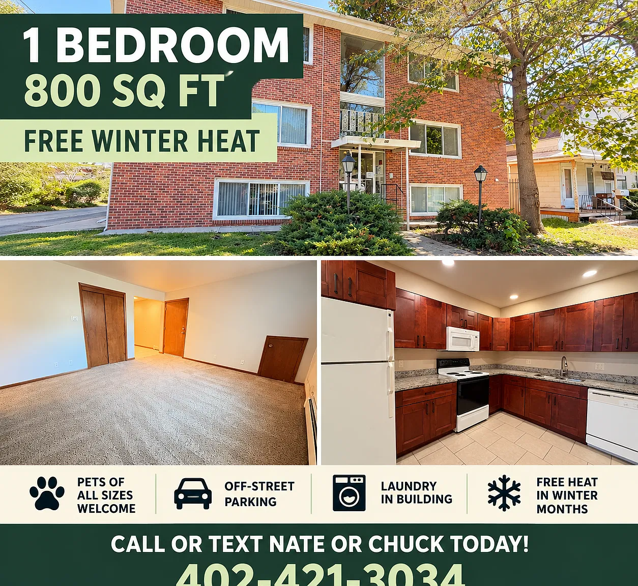 1 bed, 800 sqft, $899 — Photo 2