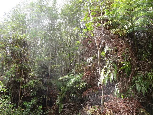 Road 6 Lot 371, Volcano, HI 96785