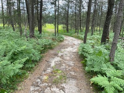 0 E Ten Mile Rd PARCEL G-2, Irons, MI, 49644