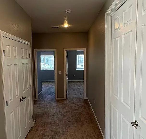 3152 Rabbit Creek Dr — Photo 17