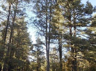 2826 Zane Grey Blvd, Overgaard, AZ 85933