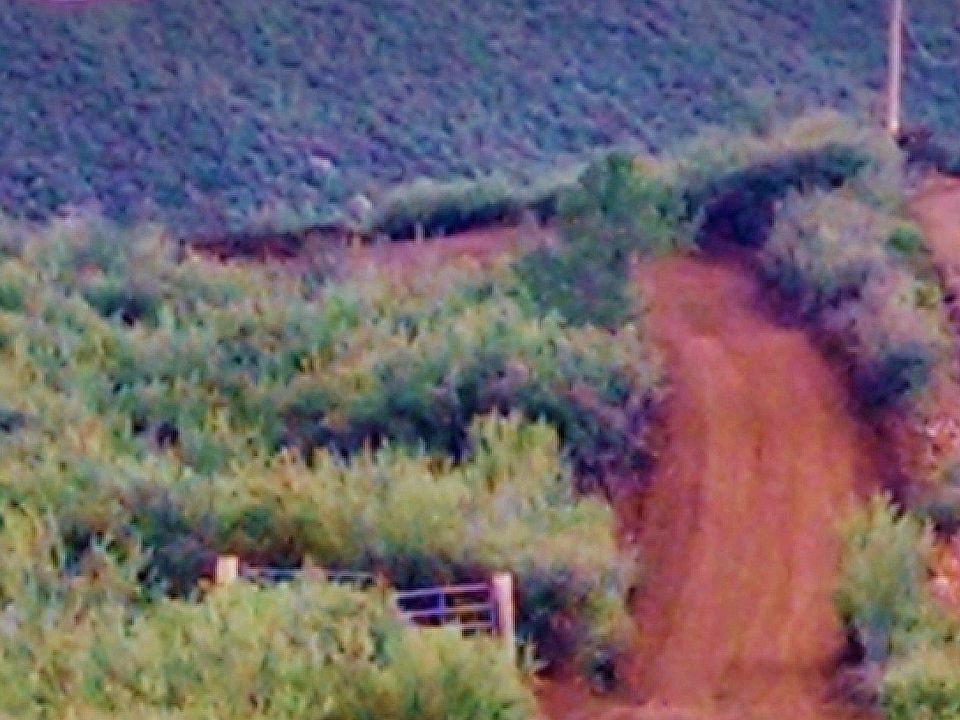 Shared driveway to lot