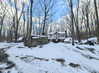 113 Blueridge Ln, Hawley, PA 18428