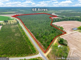 110 Lees Chapel Rd, Nicholls, GA 31554
