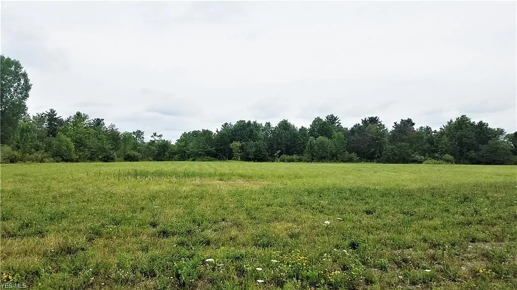 Center Rd photo 1
