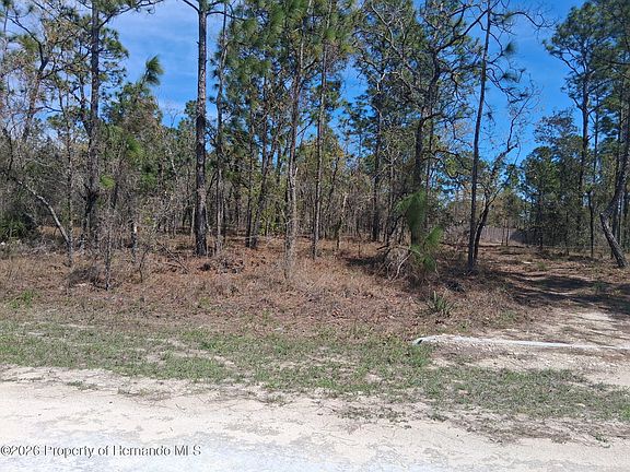 2nd image of 0 Green Jay Rd