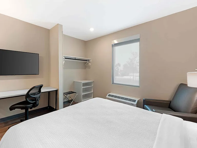 Studio Suite - 1 Queen Bed