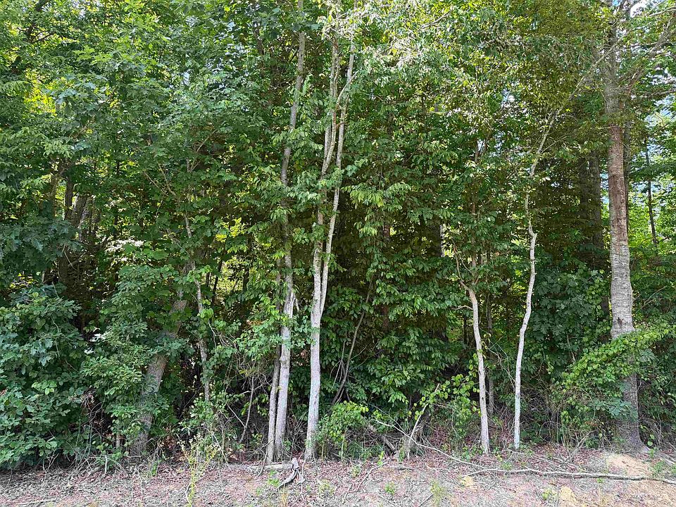 1st image of 3 Rose Creek Rd
