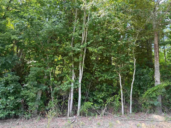 3 Rose Creek Rd, Selmer, TN 38375