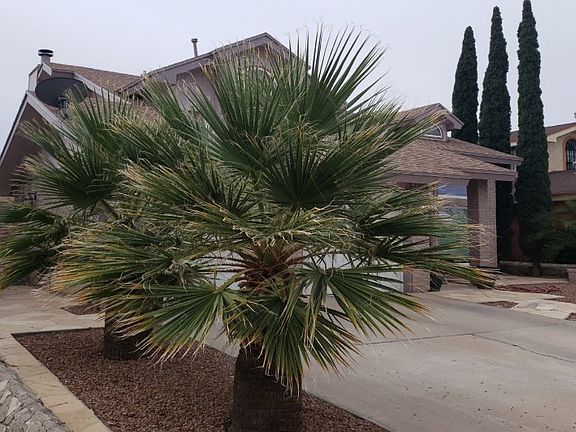 3rd image of 1720 Judith Resnik Dr
