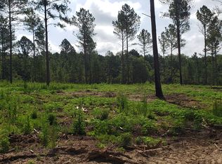 5 Modoc Ln, Swainsboro, GA 30401