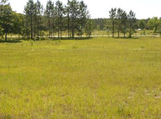 3299 SE 53rd Ct, Trenton, FL 32693