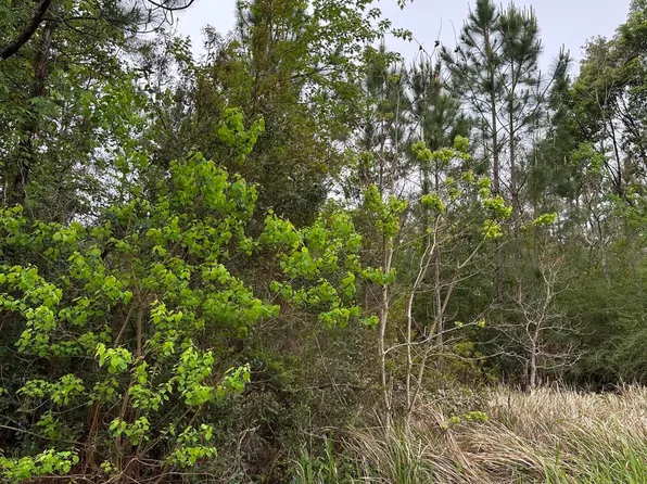 0 Carter Rd, Ocean Springs, MS 39564