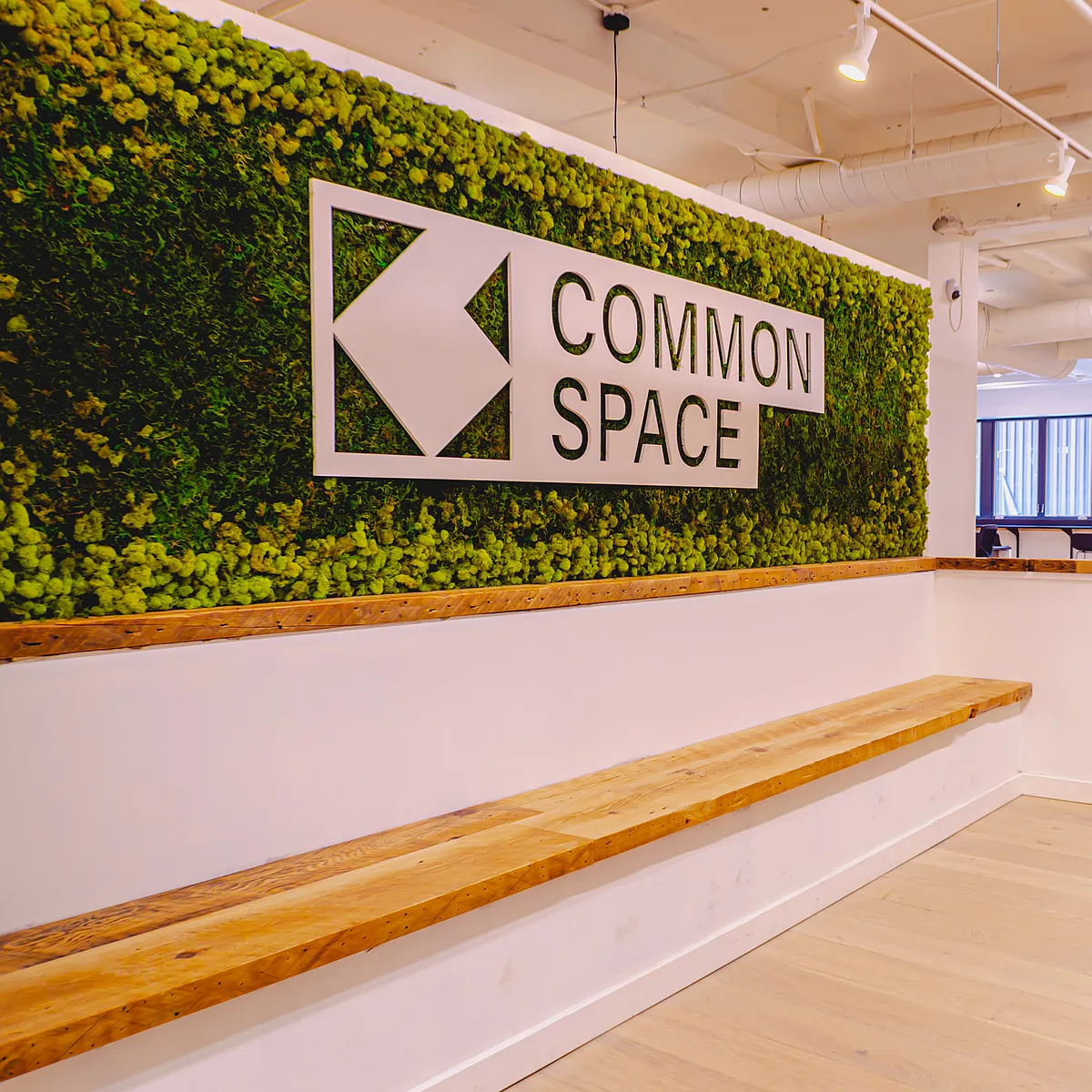 CS Work - Commonspace