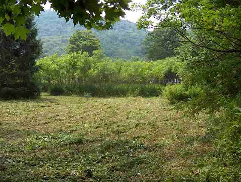 3rd image of 0 NEW YORK STATE ROUTE 22