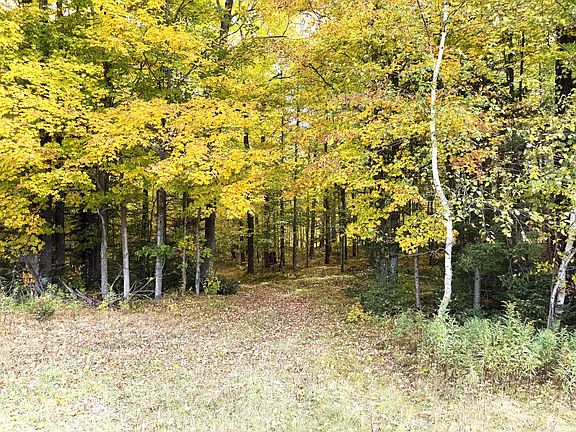 2nd image of 80 Acres Hwy #64