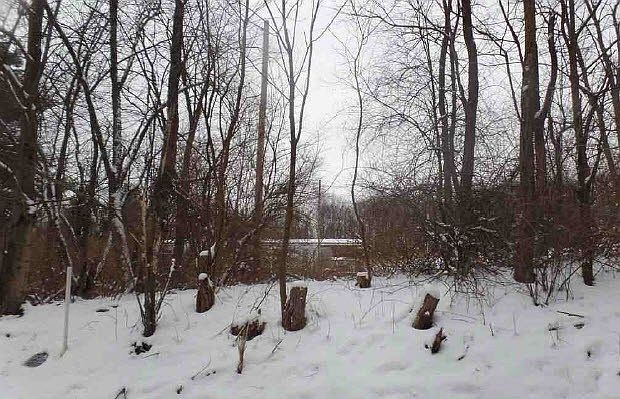 2nd image of 431 Maryland Line Rd