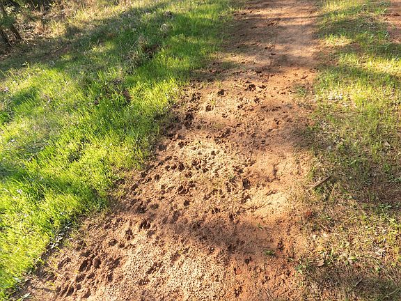 5th image of 7681 Fm 1798 W