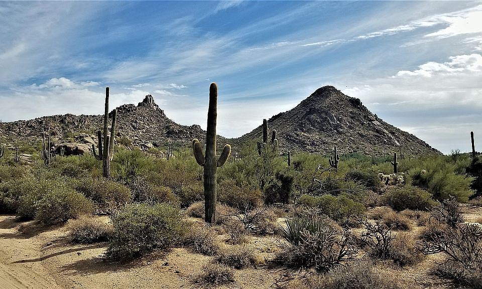 1st image of 9428 E Pinnacle Vista Dr