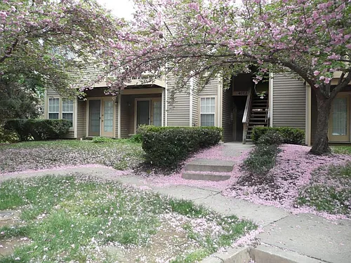 4712 Dorsey Hall Dr #401 Photo 1