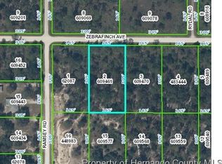 Zebrafinch Ave, Weeki wachee, FL 34614