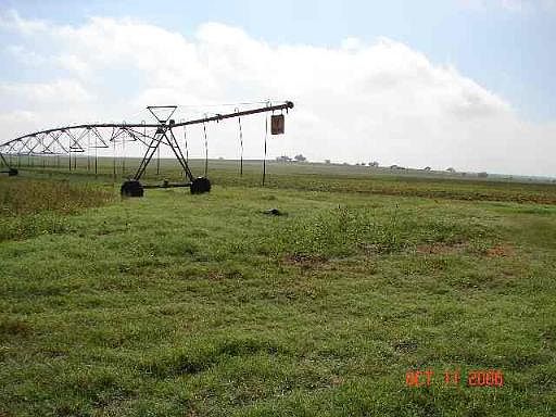 2nd image of 000 FM 117