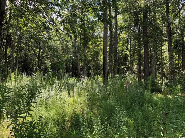 6135 lot 2 Red Bluff Rd. Lot 2, Loris, SC 29569
