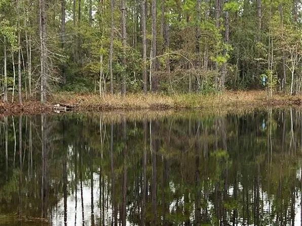 0 Gibson Cir, Hortense, GA 31543