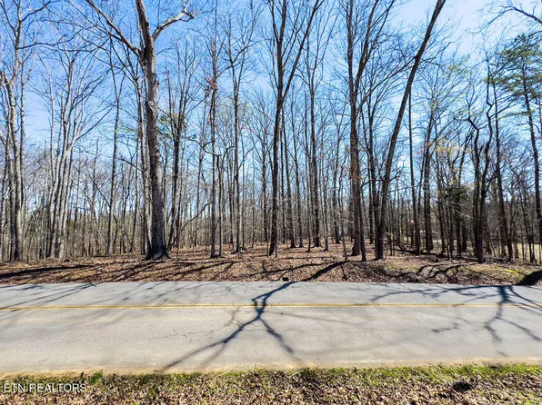Half Moon Shores Dr, Ten Mile, TN 37880