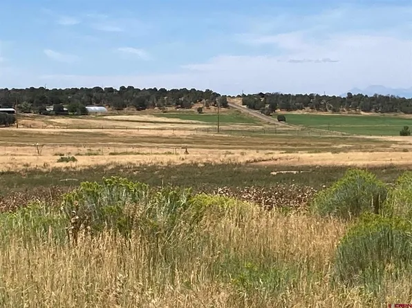 80 AC TBD 42ZS Road, Norwood, CO 81423