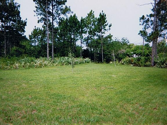 Large Back Yard