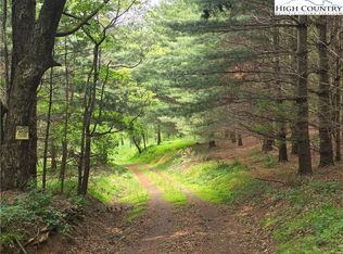 137 C And M Ln, Laurel Springs, NC 28644