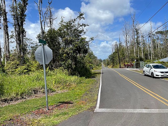 2nd image of Hibiscus Dr Lot 88